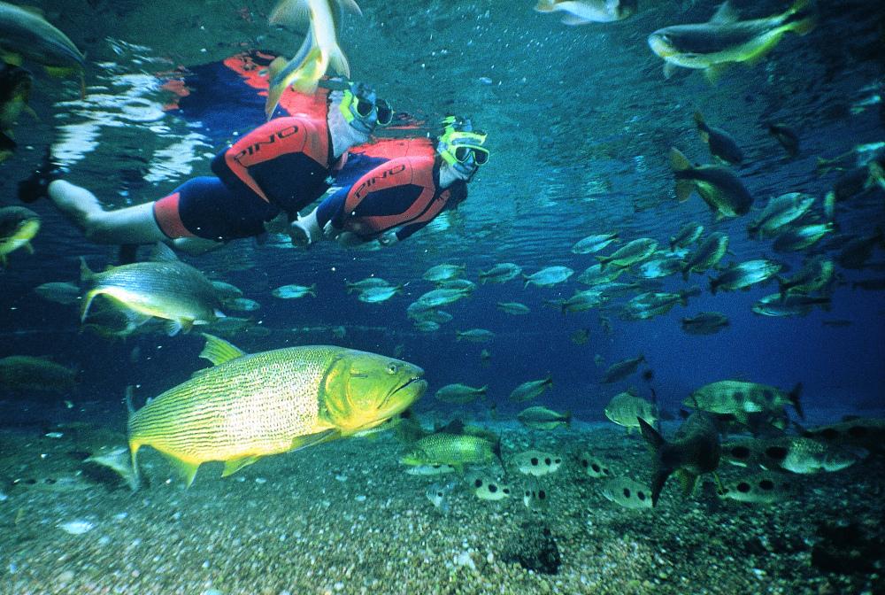 Grupo para Bonito com Pantanal