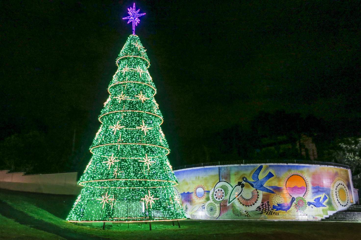 Curitiba Natalina com Espetáculo Coral das Janelas