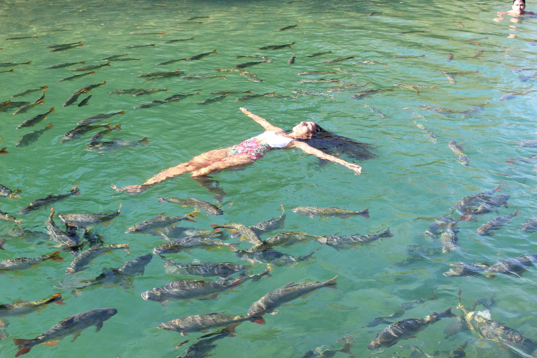 Grupo para Bonito com Pantanal