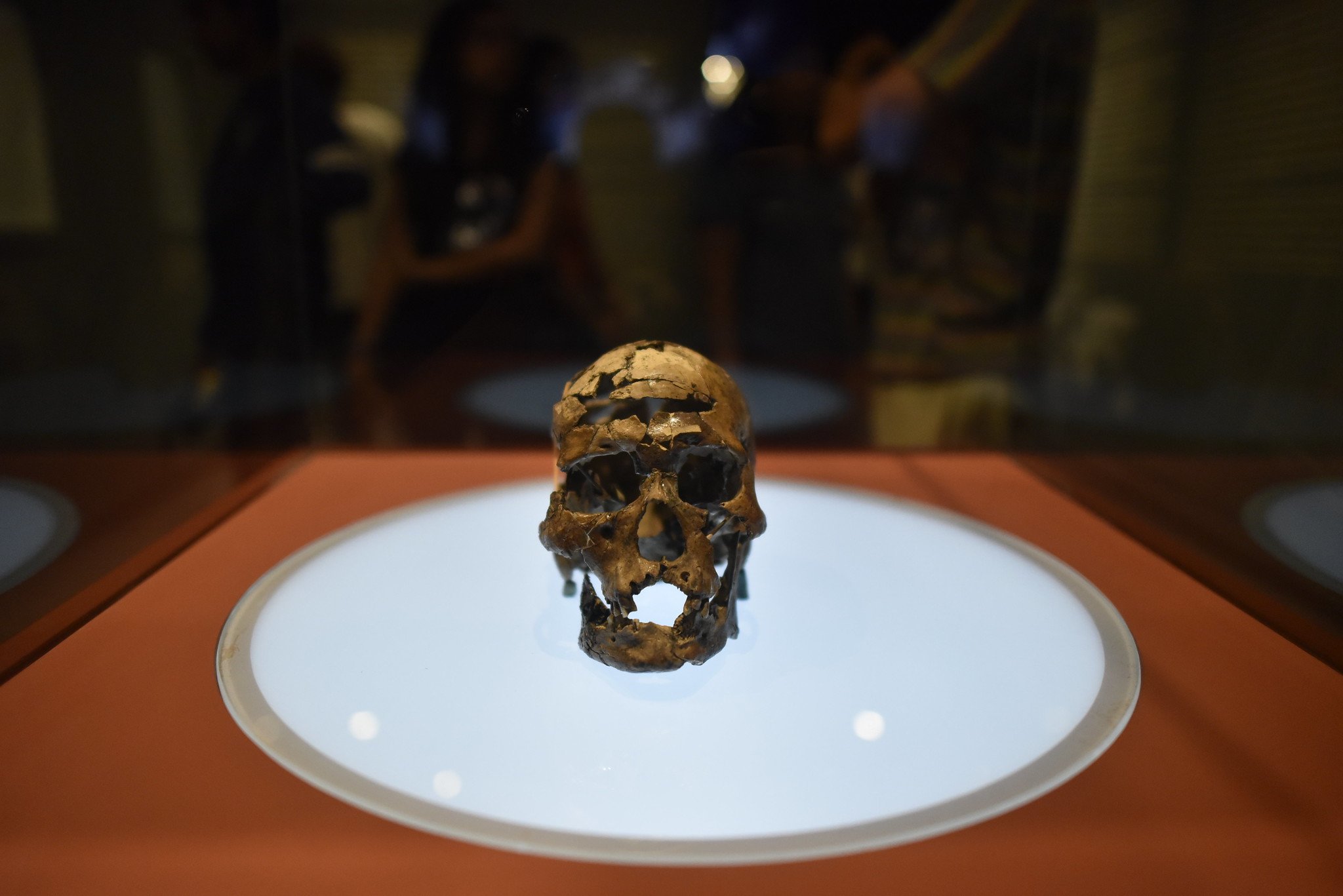 Petrolina, Juazeiro e Serra da Capivara