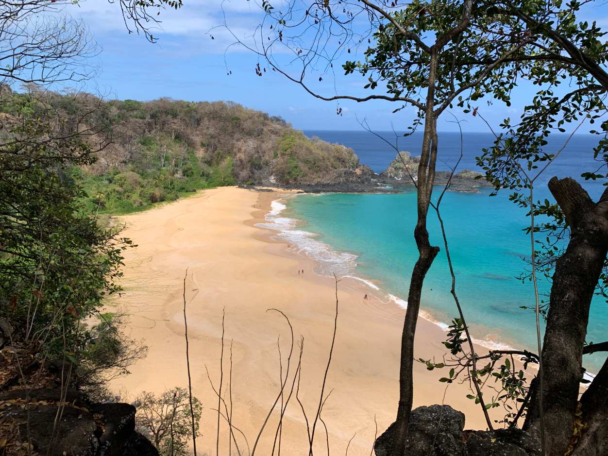 Grupo para Fernando de Noronha Grupo para Fernando de Noronha