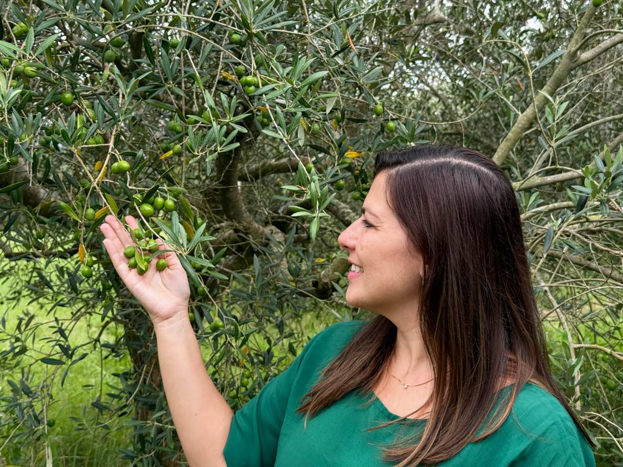 São Miguel das Missões e Trem do Pampa