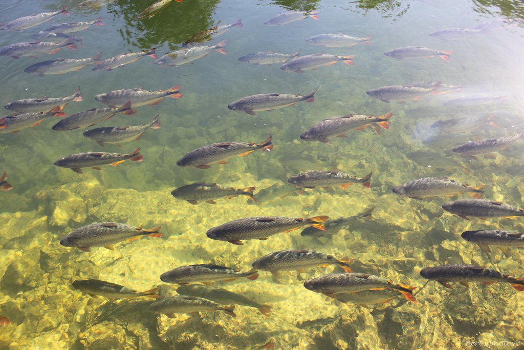 Grupo para Bonito com Pantanal