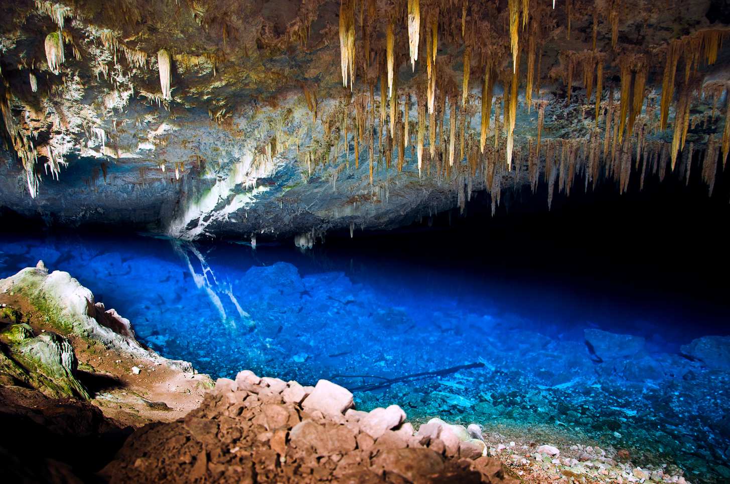 Grupo para Bonito com Pantanal