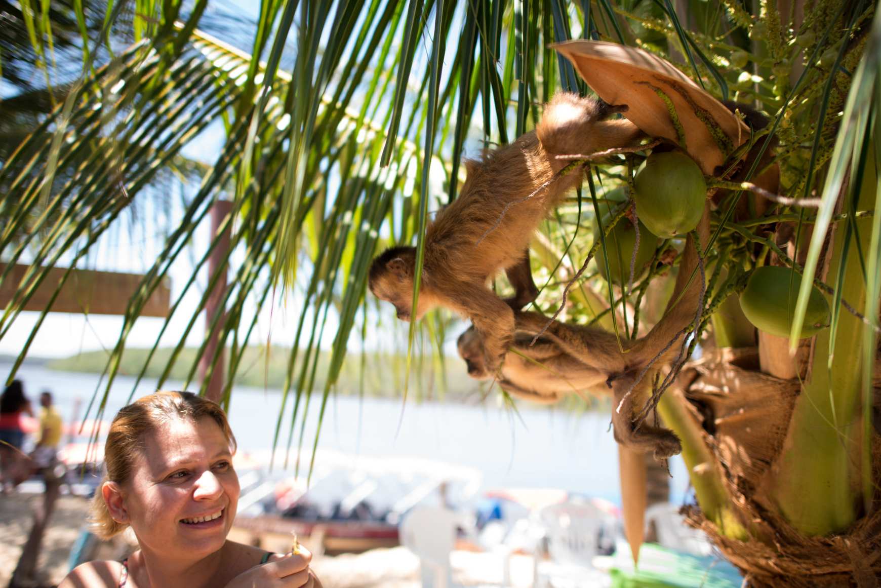 Grupo para os Lençóis Maranhenses
