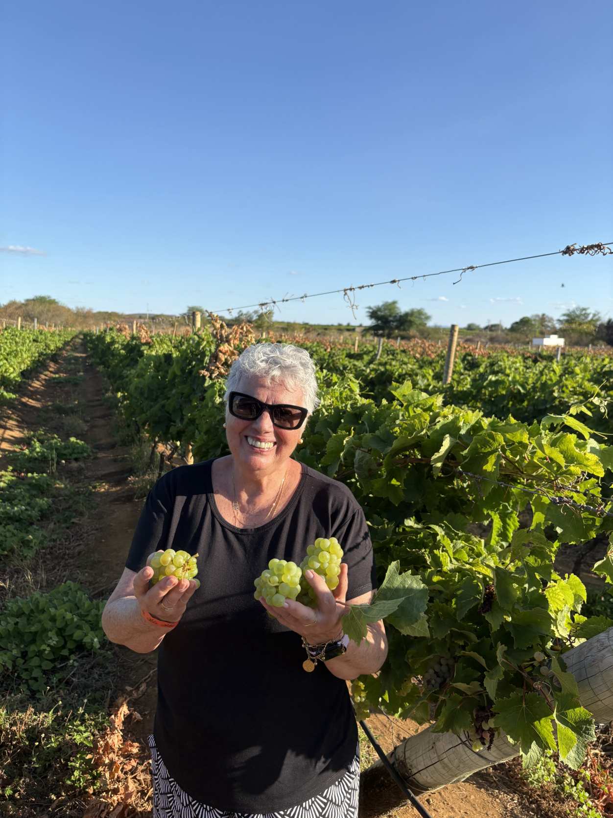 Petrolina, Juazeiro e Serra da Capivara