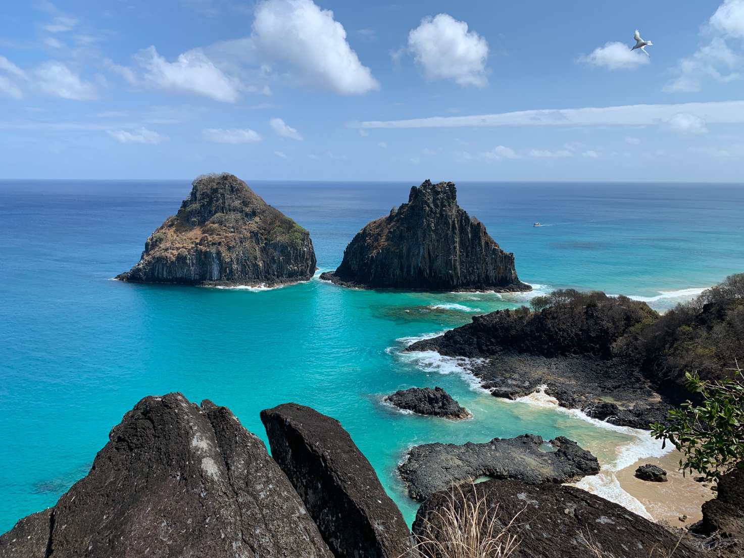 Grupo para Fernando de Noronha Grupo para Fernando de Noronha