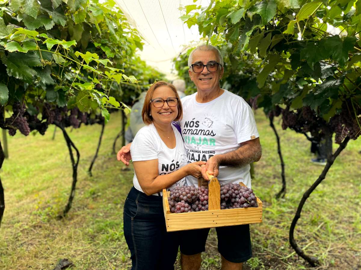 Dança típica em Holambra na Expoflora