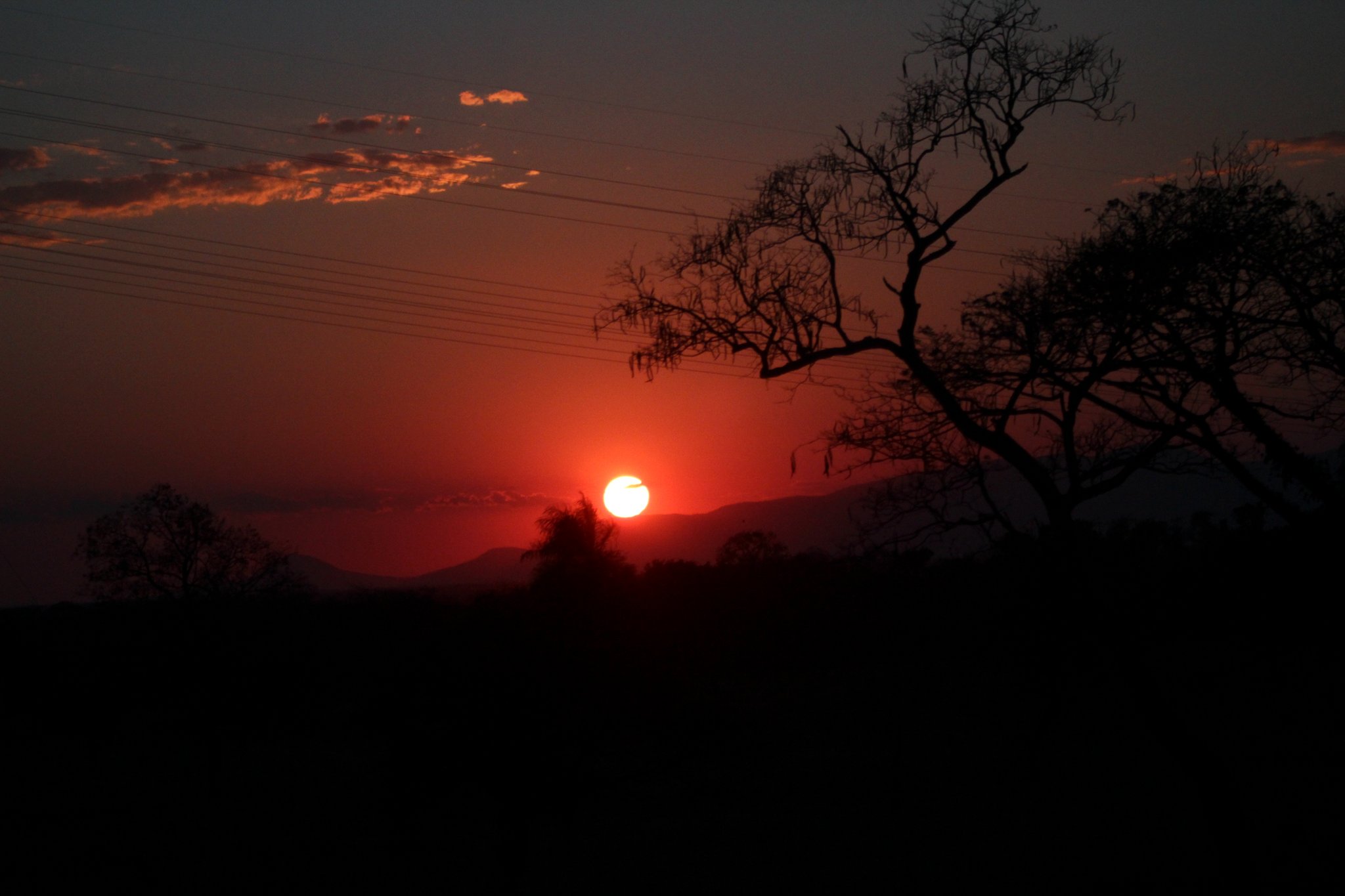 Grupo para Bonito com Pantanal