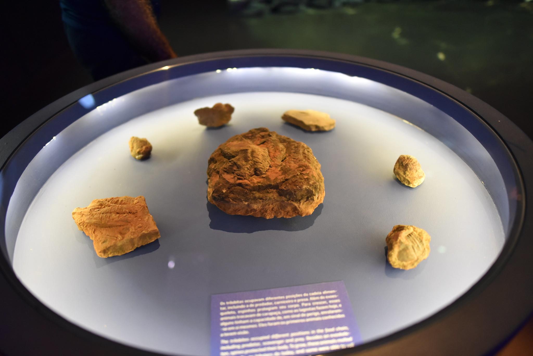 Petrolina, Juazeiro e Serra da Capivara