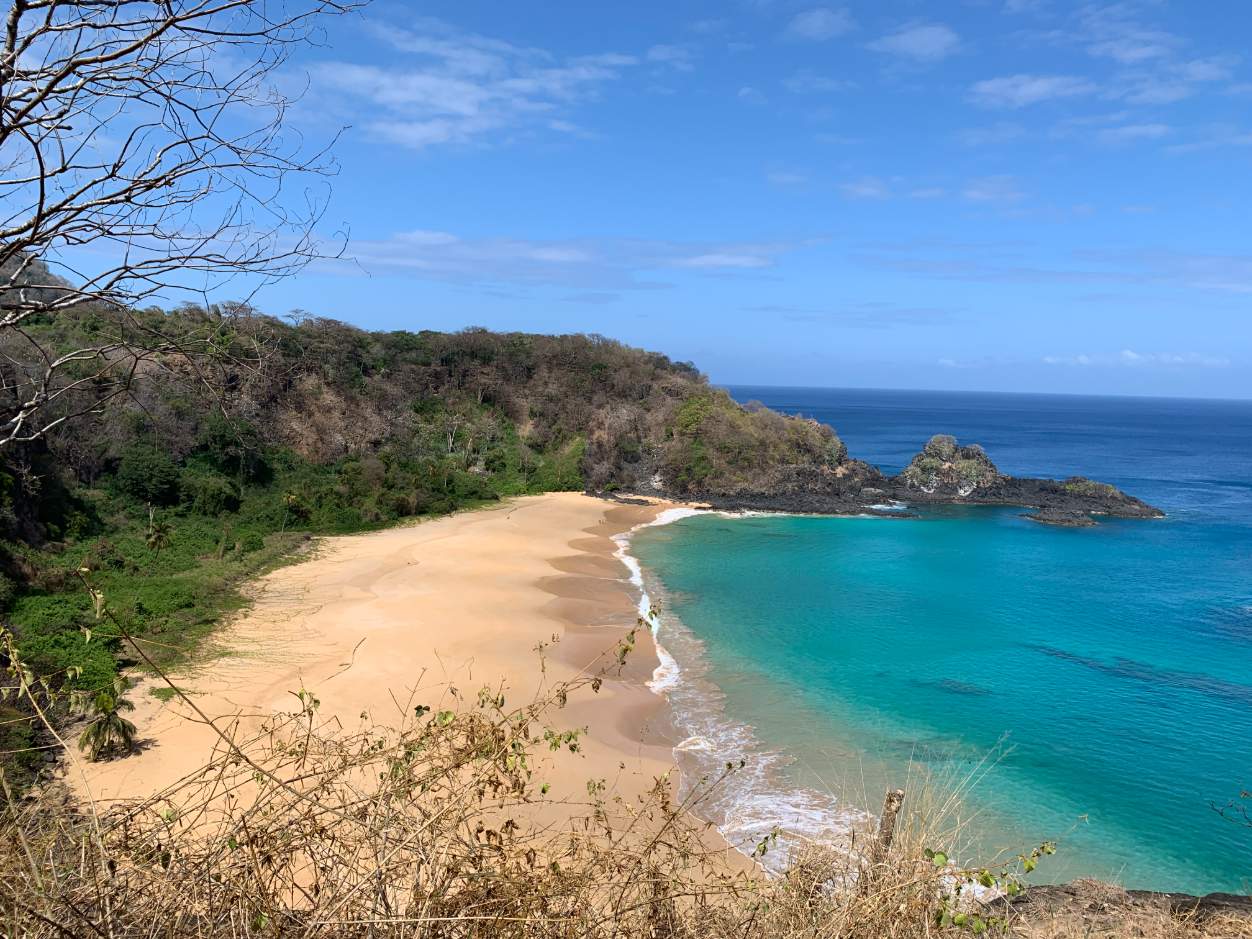 Grupo para Fernando de Noronha Grupo para Fernando de Noronha