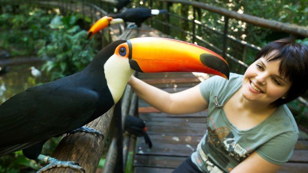 Grupo para Foz do Iguaçu PR