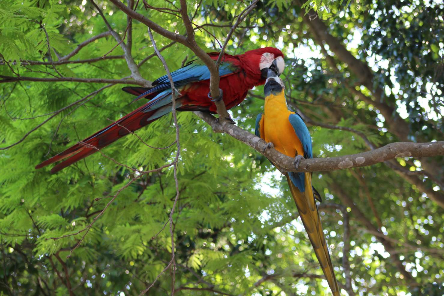 Grupo para Bonito com Pantanal