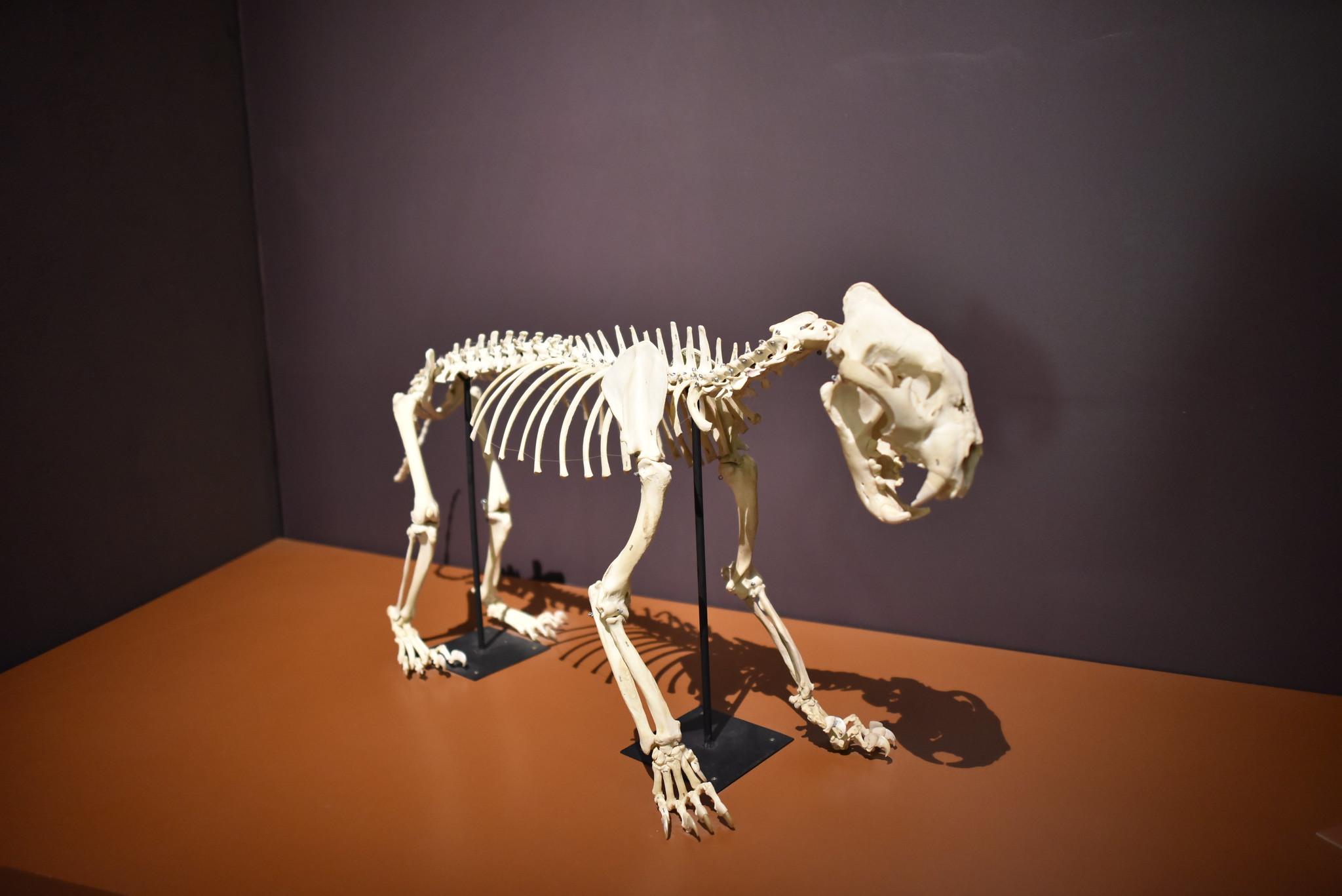 Petrolina, Juazeiro e Serra da Capivara