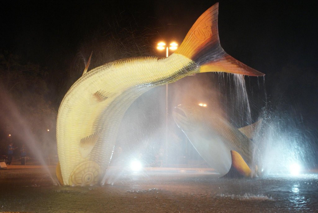 Grupo para Bonito com Pantanal