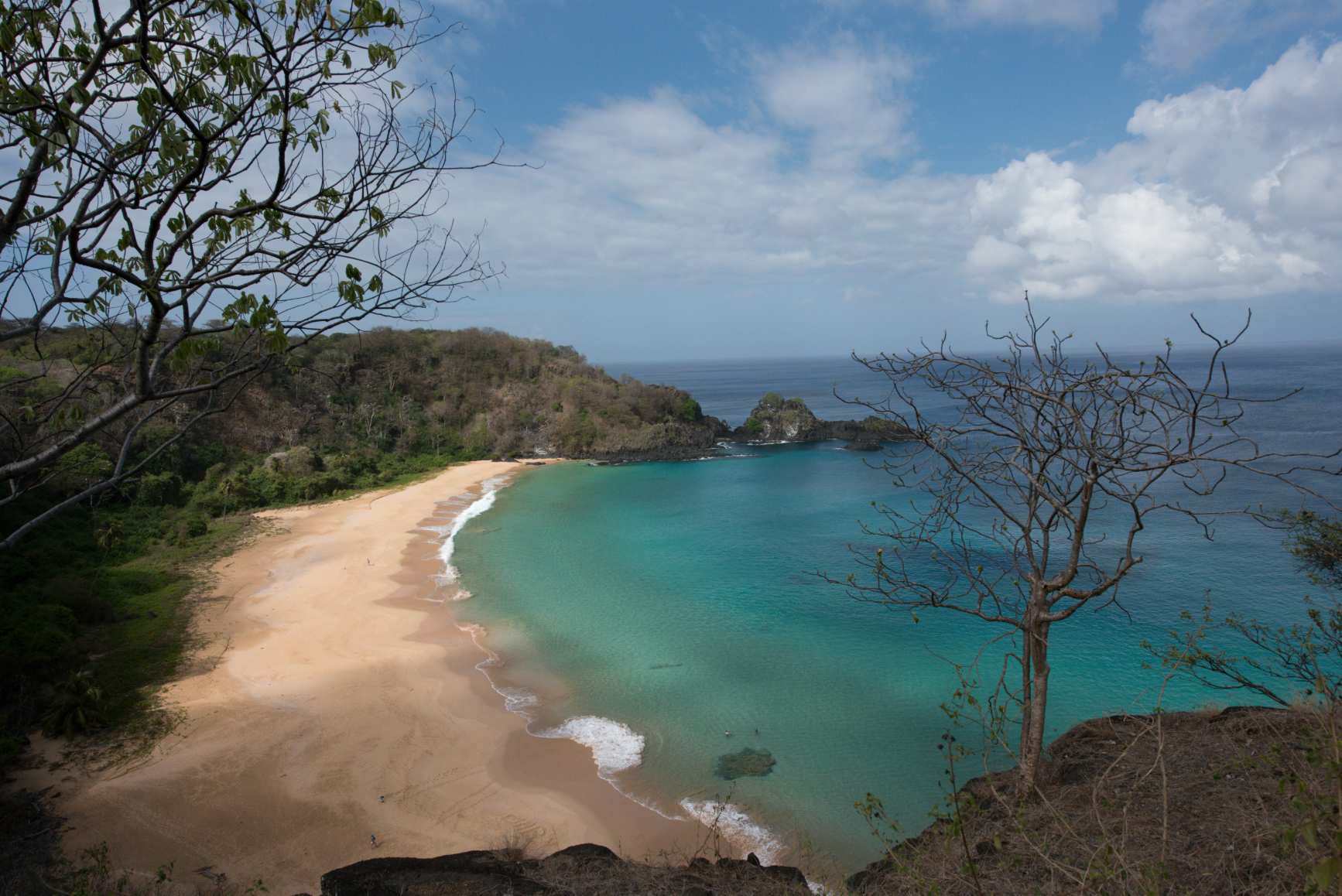 Grupo para Fernando de Noronha Grupo para Fernando de Noronha