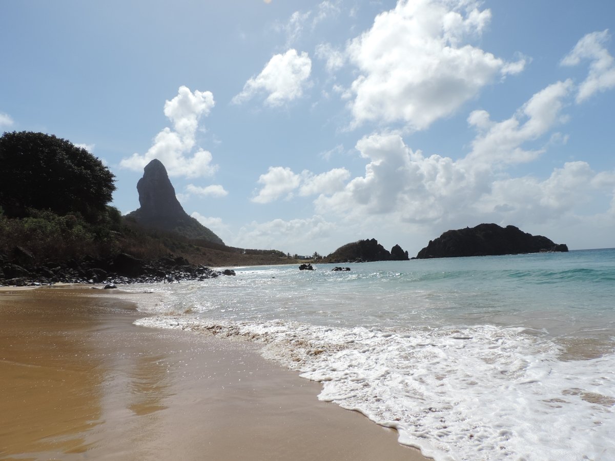 Grupo para Fernando de Noronha Grupo para Fernando de Noronha