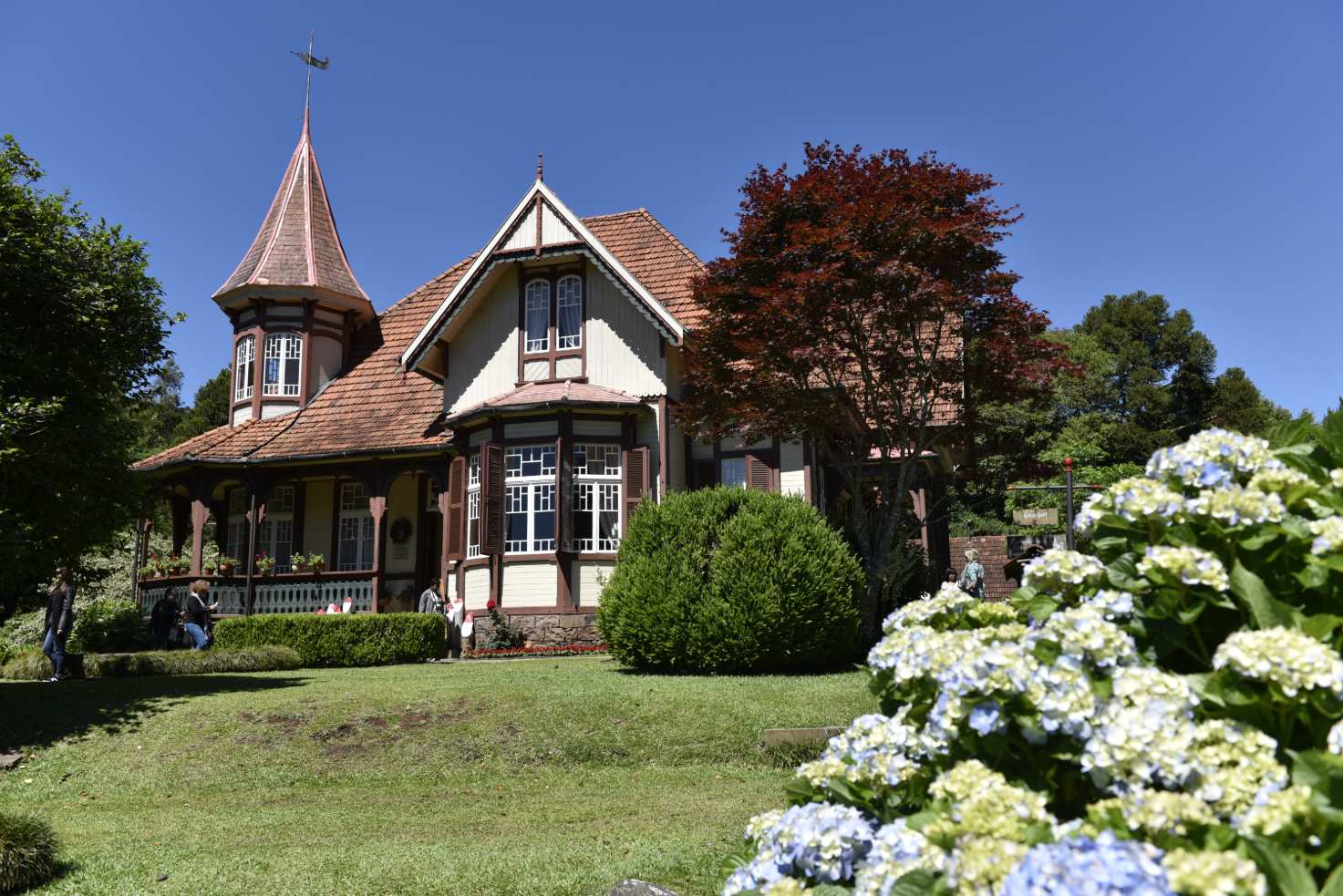 Grupo para o Natal Luz de Gramado