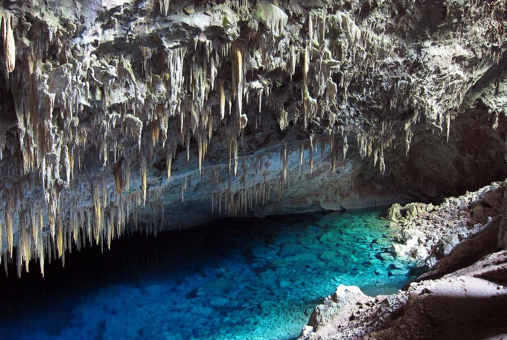 Grupo para Bonito com Pantanal
