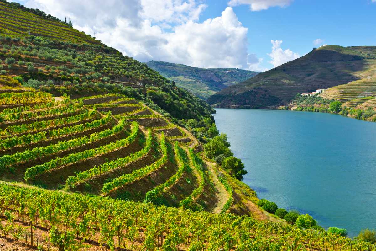 Vale do Douro