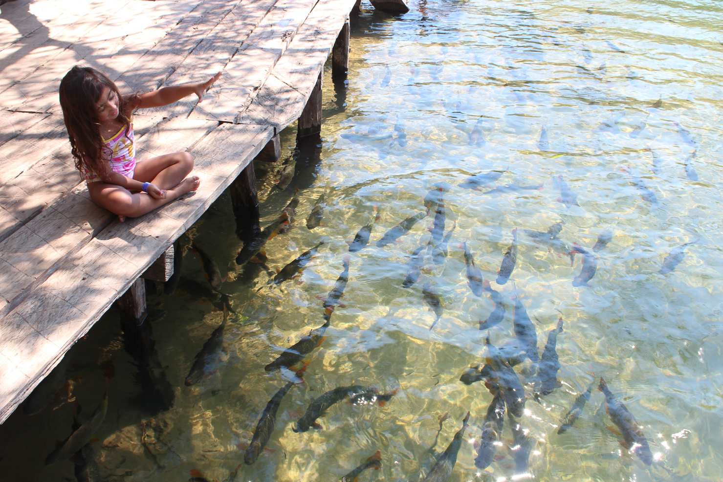 Grupo para Bonito com Pantanal