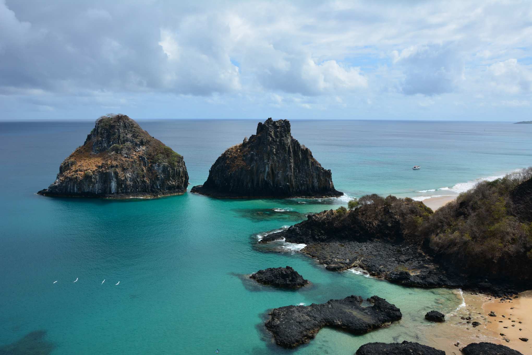 Grupo para Fernando de Noronha Grupo para Fernando de Noronha