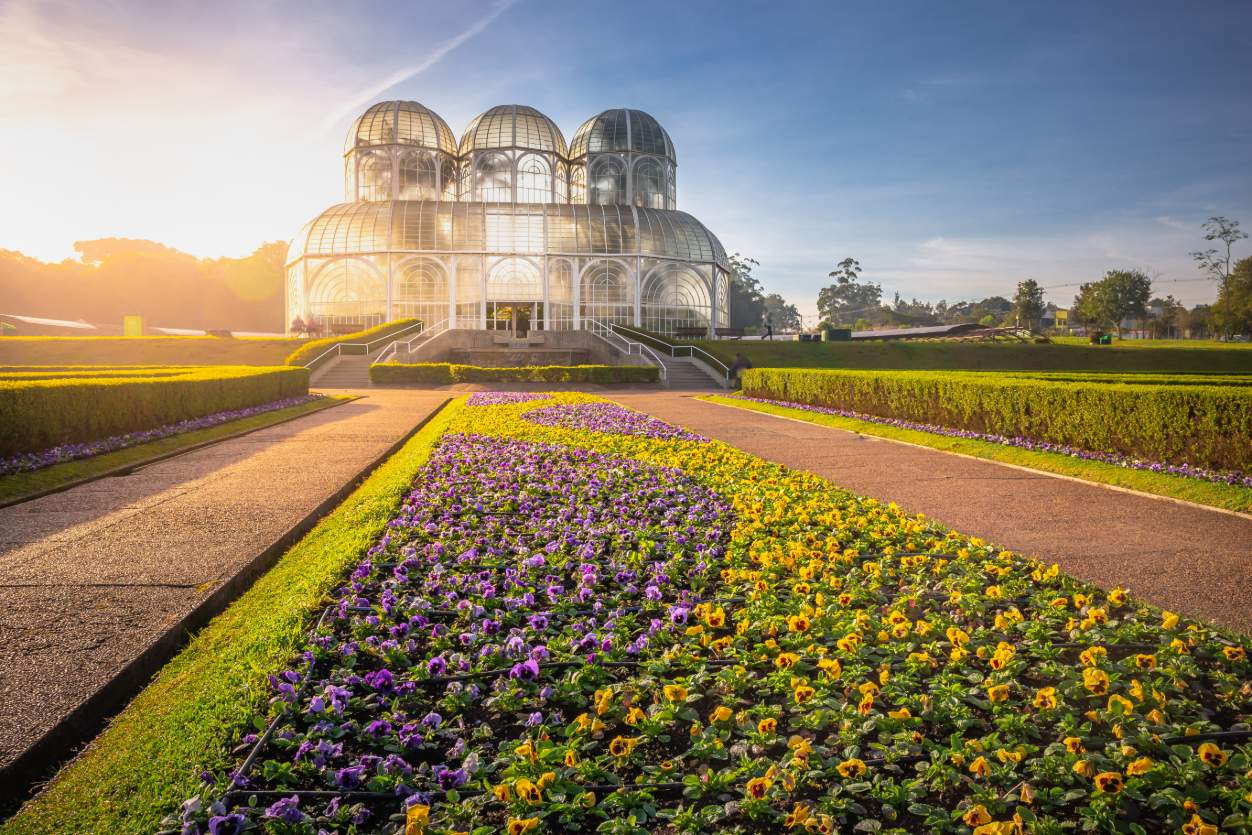 Curitiba Natalina com Espetáculo Coral das Janelas