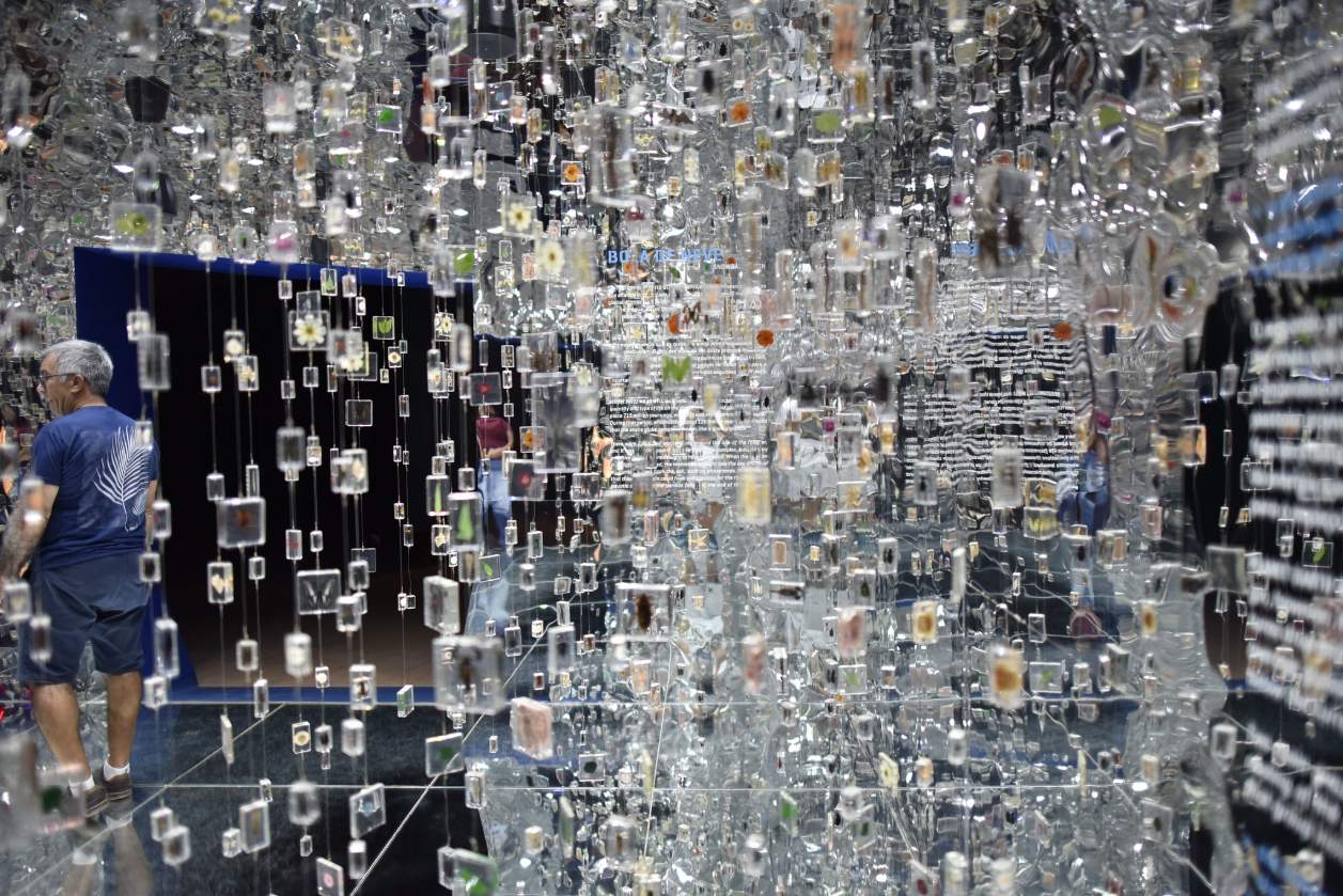 Petrolina, Juazeiro e Serra da Capivara