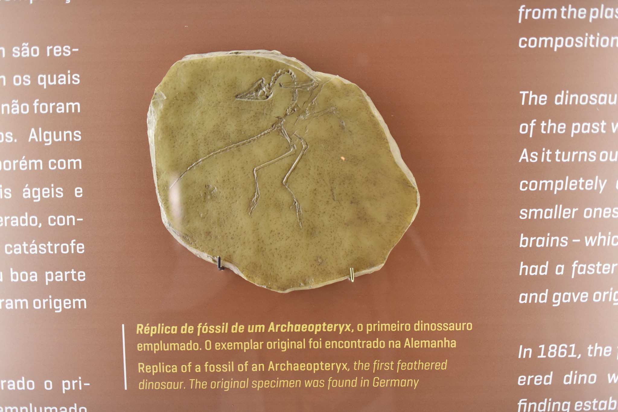 Petrolina, Juazeiro e Serra da Capivara