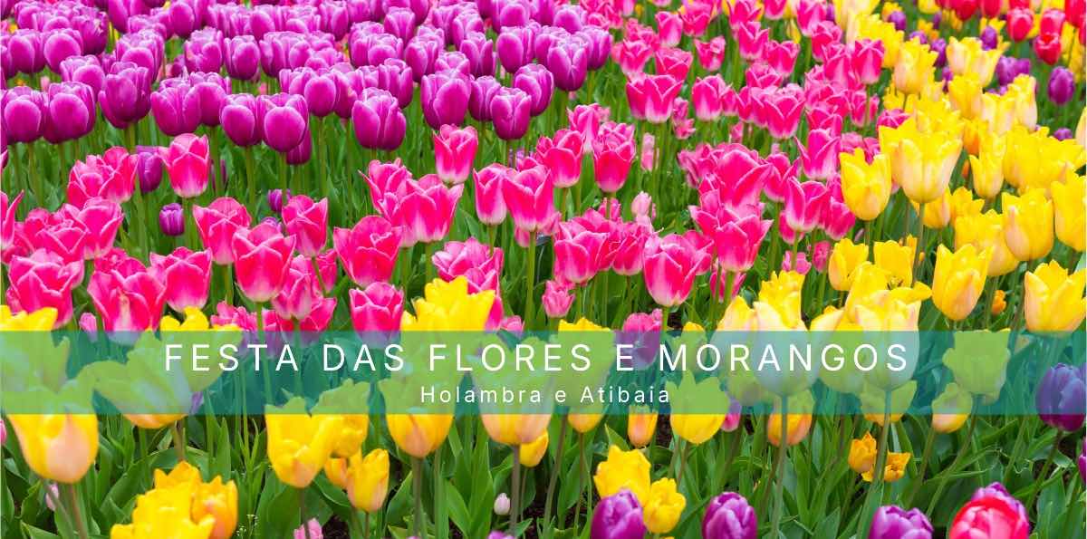 Fête des Fleurs et des Fraises