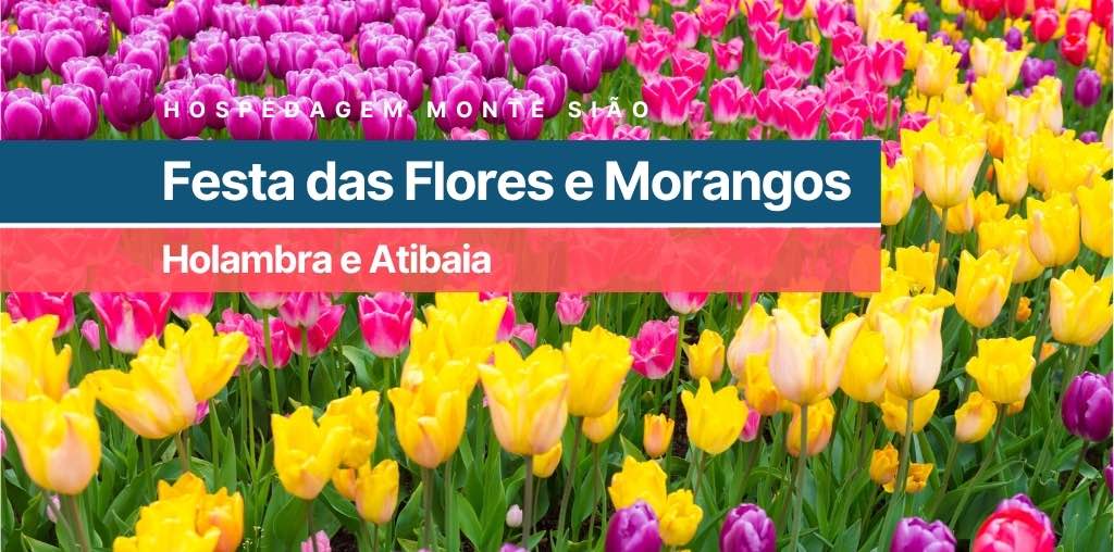 Flower and Strawberry Festival