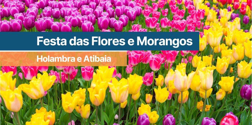 Festa das Flores e Morangos