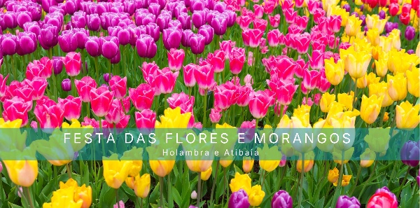 Festa das Flores e Morangos