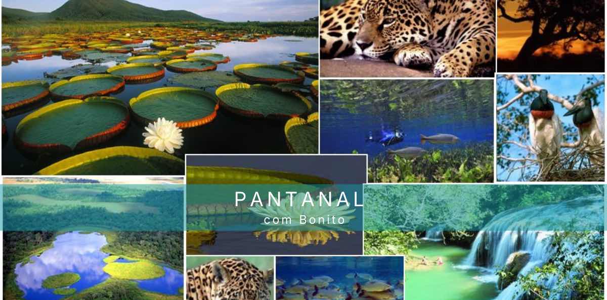 Pantanal con Bonito