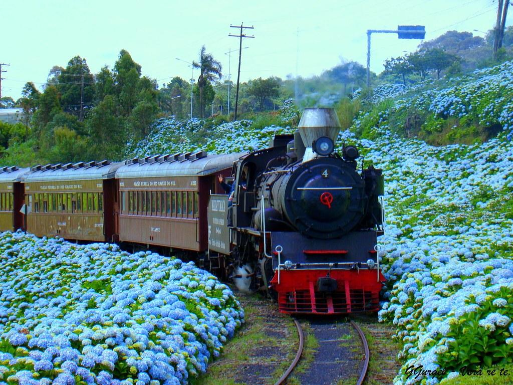 Natal Luz - Gramado Natal Luz - Gramado