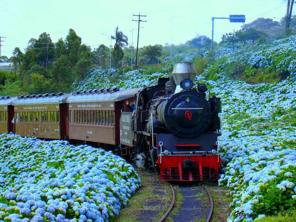 Natal Luz em Gramado - Serra Gaúcha