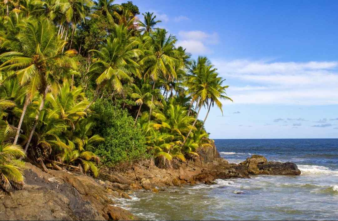 ITACARÉ PRAIA ENGENHOCA HAVIAZINHO