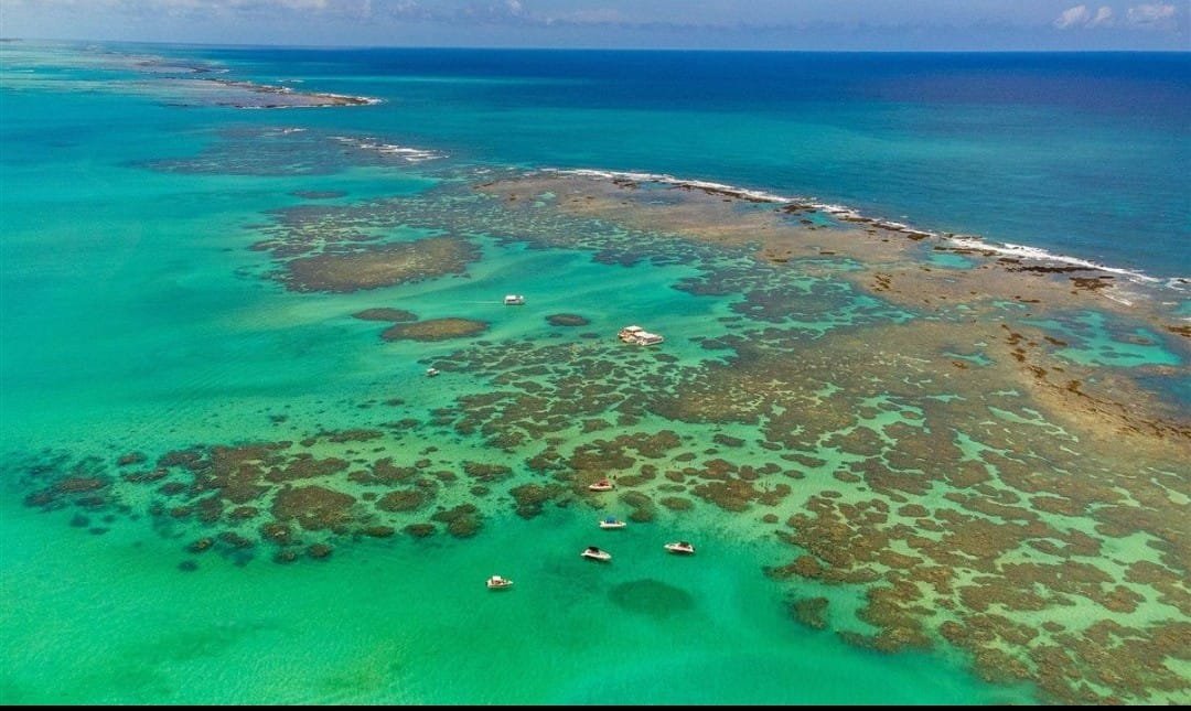 FERIAS DE JANEIRO MARAGOGI