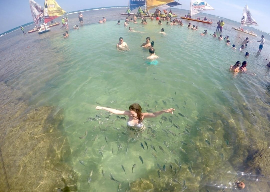 FERIAS DE JANEIRO MARAGOGI