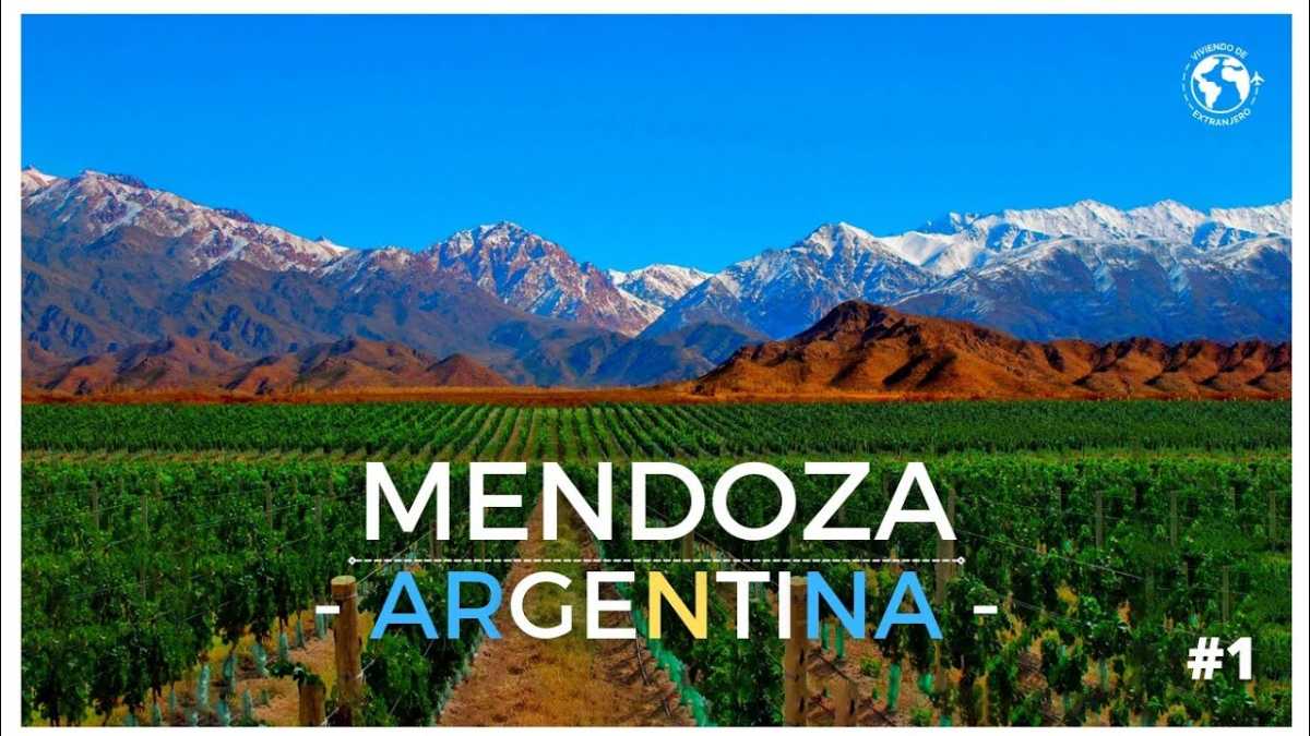 Mendoza Premium Wine Tour