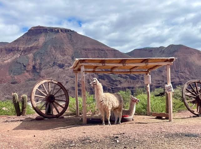 Salta Premium Wine Tour - Pacote Premium Completo 5 dias com hospedagem