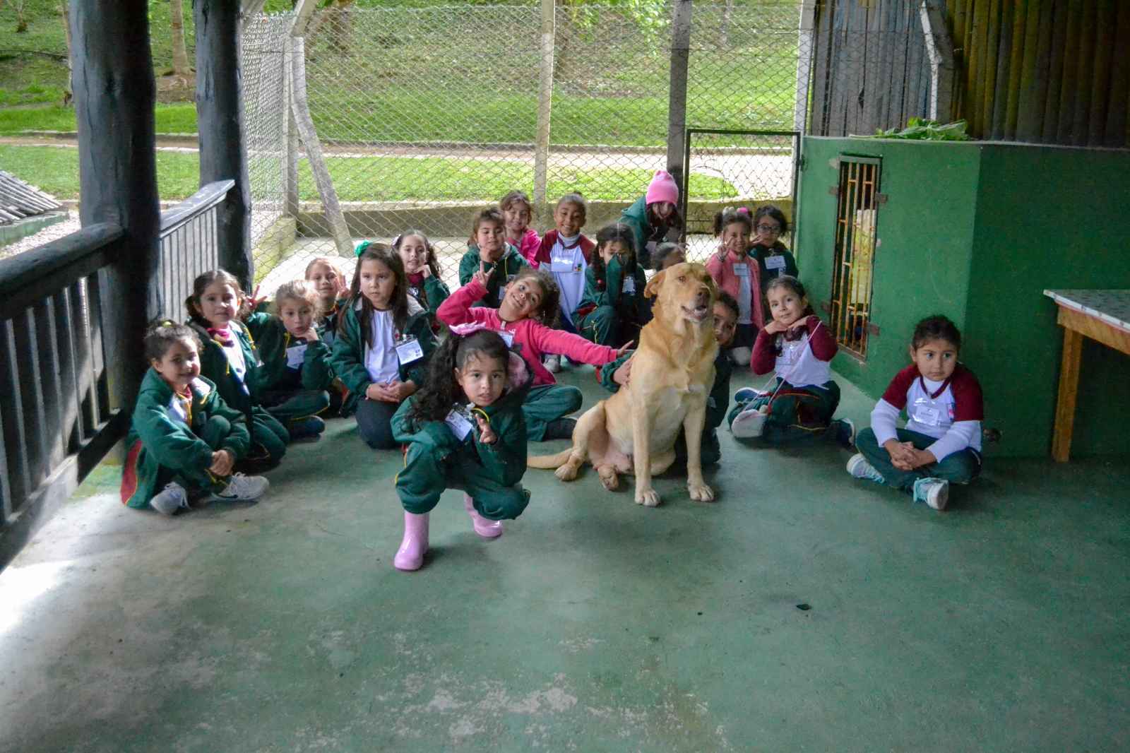 CAFRG- DIA DE CAMPO (M)- PRÉ 3 - 16/09