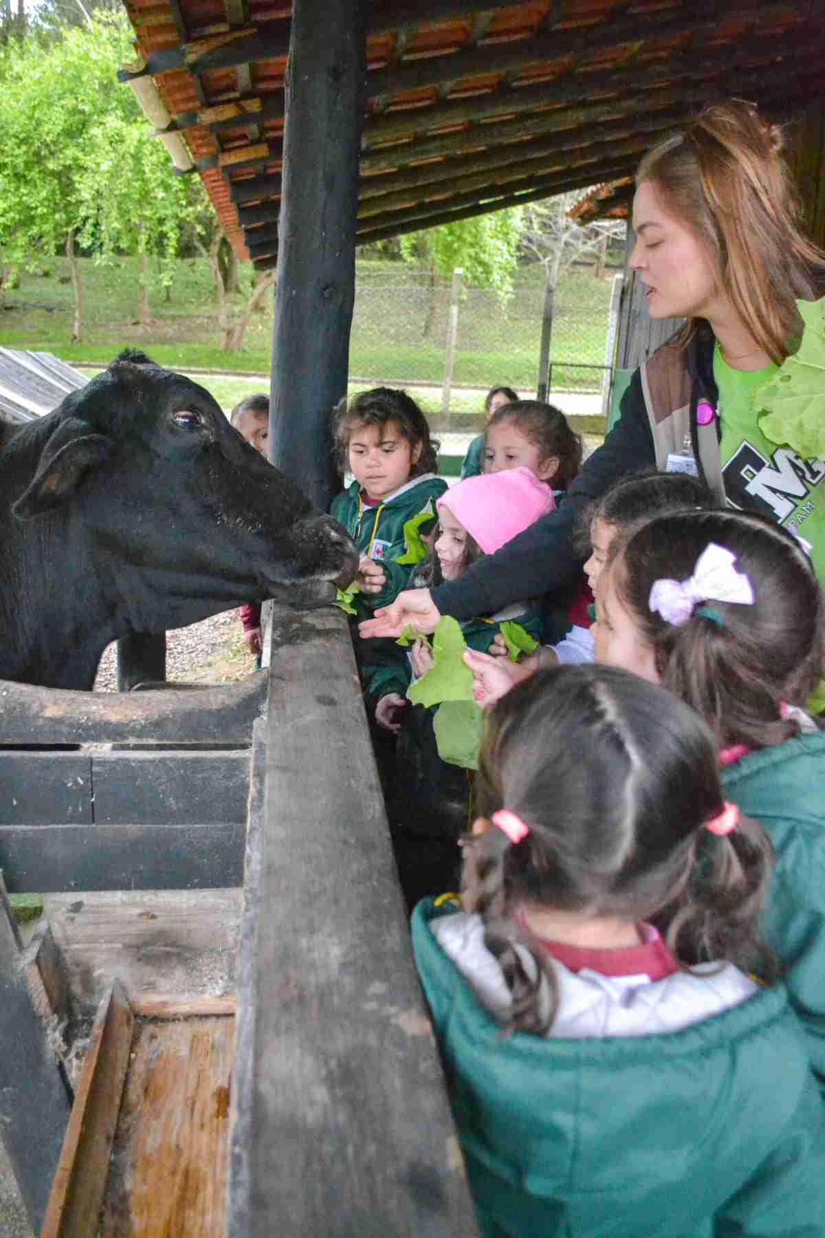CAFRG - Day Use + Dia de Campo 1º Ano - 17/09