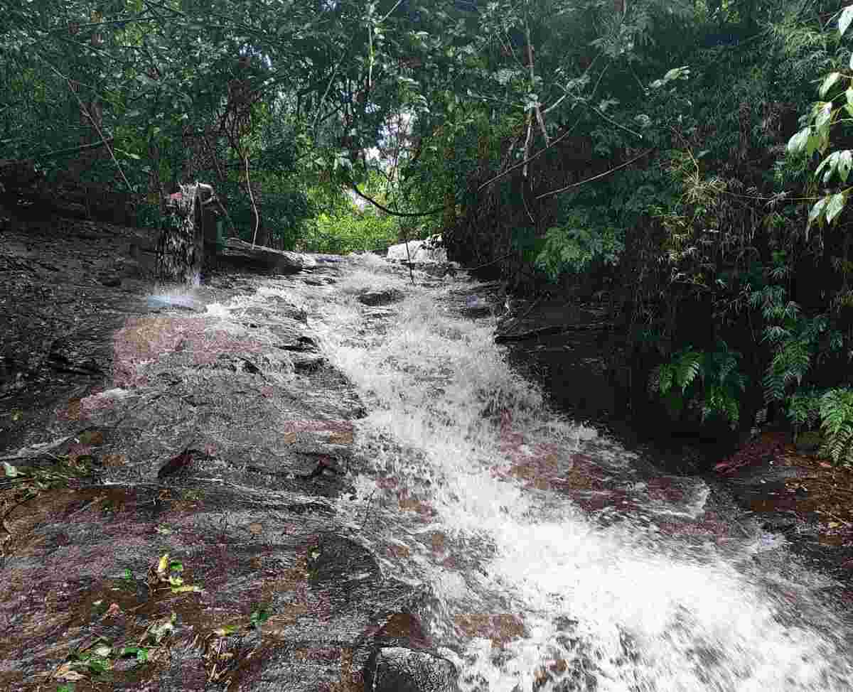 Trilha das Três Cachoeiras + Almoço Rural