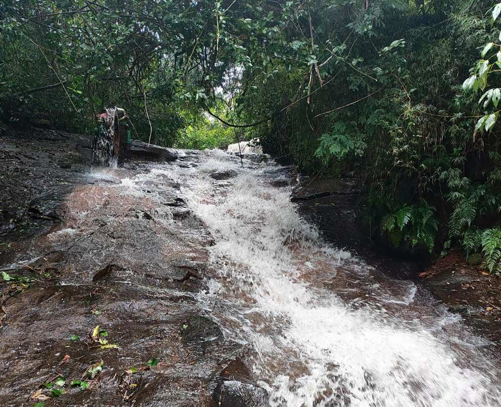 Trilha das Três Cachoeiras + Almoço Rural