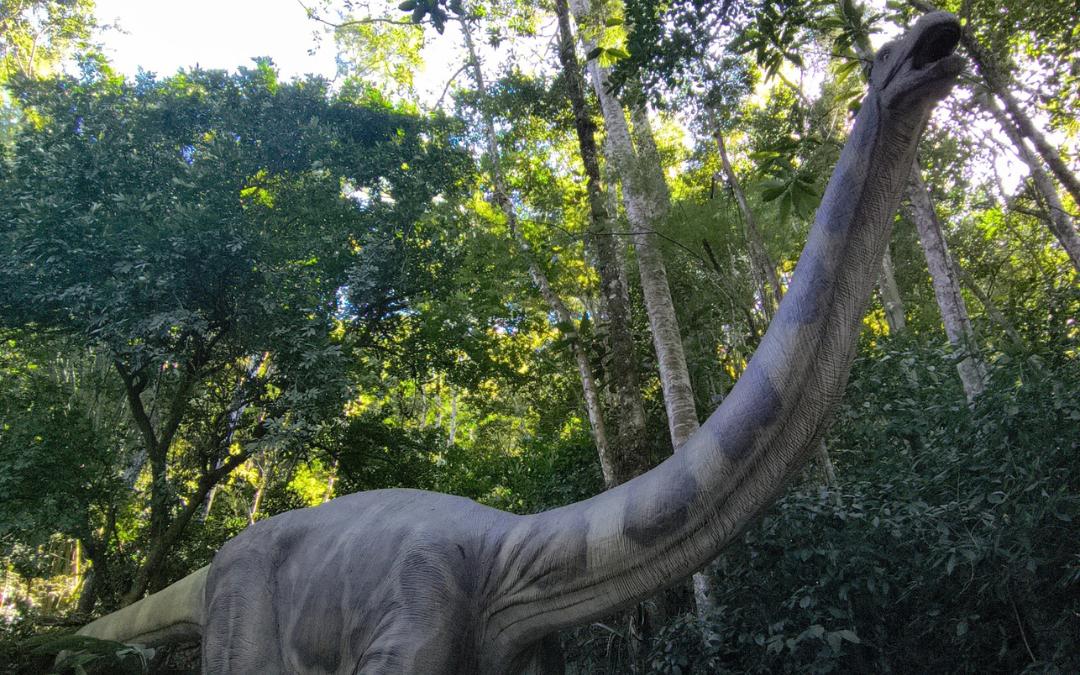 Miguel Pereira com Terra dos Dinos Miguel Pereira com Terra dos Dinos