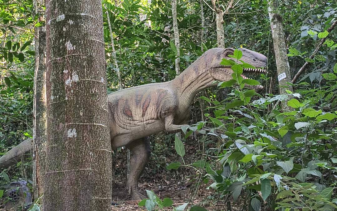 Miguel Pereira com Terra dos Dinos Miguel Pereira com Terra dos Dinos