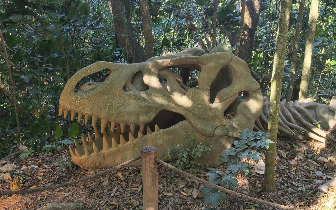 Miguel Pereira com Terra dos Dinos Miguel Pereira com Terra dos Dinos