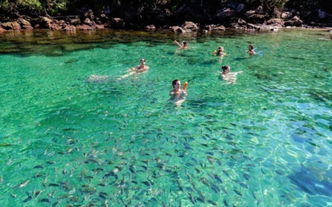 Ilha Grande - Bate e Volta Ilha Grande - Bate e Volta