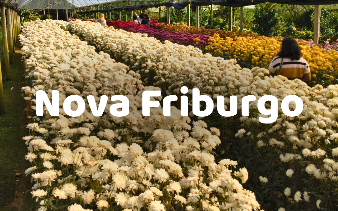 Nova Friburgo - 07/11